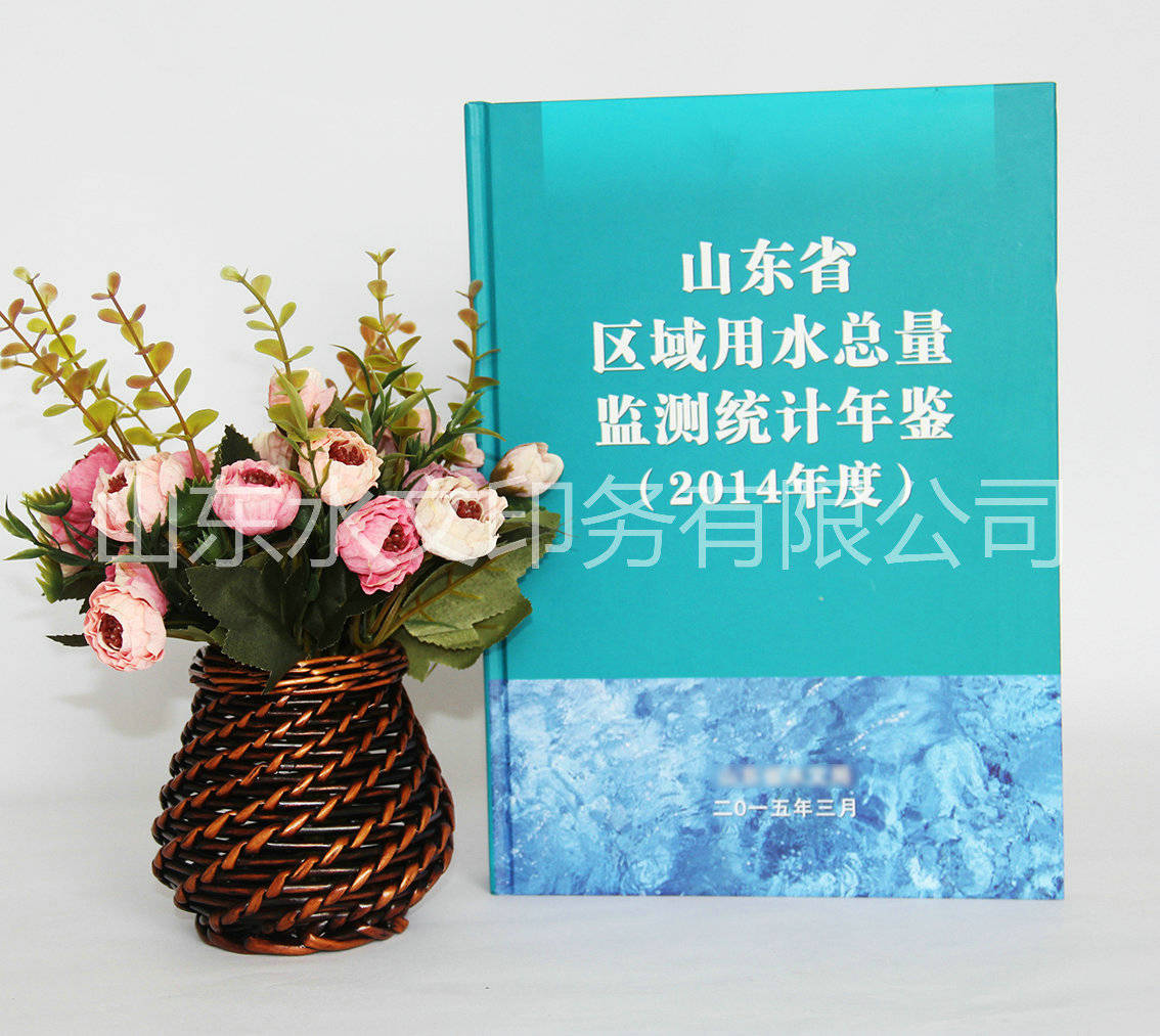 檢測統計年鑒印刷